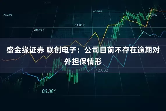 盛金缘证券 联创电子：公司目前不存在逾期对外担保情形