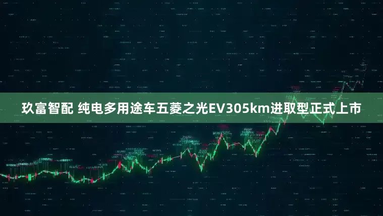 玖富智配 纯电多用途车五菱之光EV305km进取型正式上市
